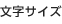 文字サイズ